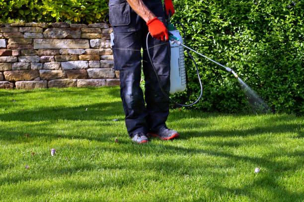 Best Organic or Eco-Friendly Pest Control  in USA